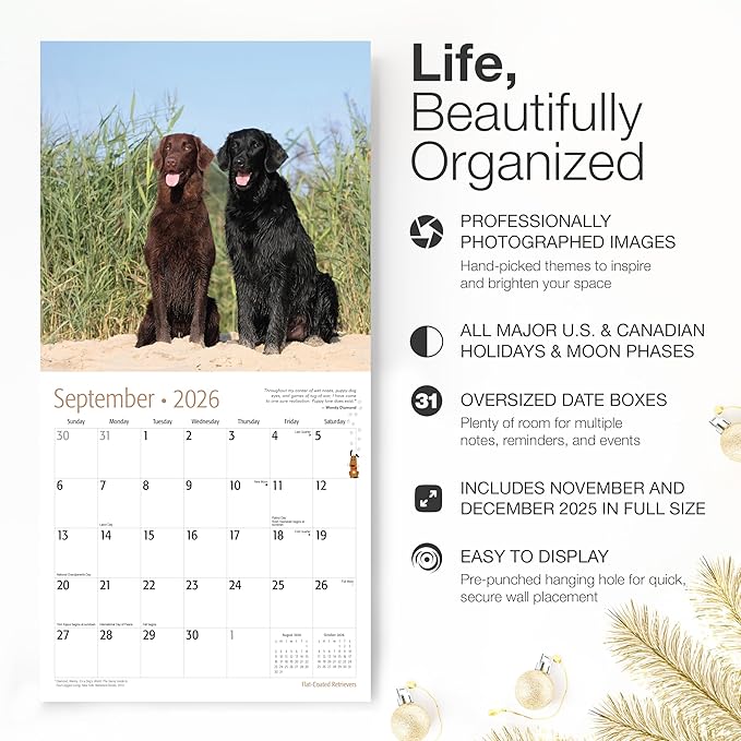 RED EMBER Flat-Coated Retrievers 2026 Wall Calendar 12 Month | 12" x 24" Open | Thick & Sturdy Paper | Holiday Gift | Cute Puppy Dog Calendar 2026