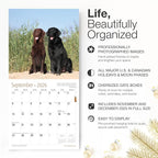 RED EMBER Flat-Coated Retrievers 2026 Wall Calendar 12 Month | 12" x 24" Open | Thick & Sturdy Paper | Holiday Gift | Cute Puppy Dog Calendar 2026
