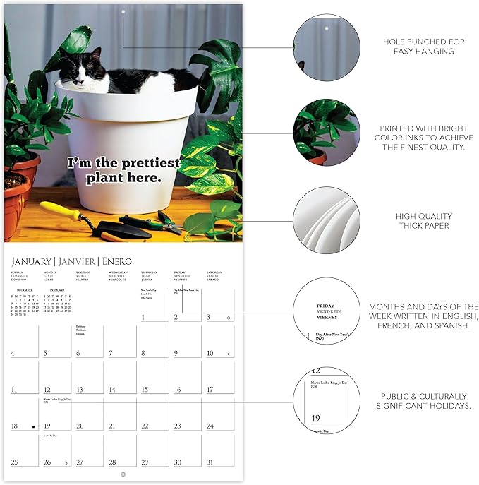 Graphique 2026 Nuthin' But Trouble Wall Calendar | 12” x 12” | Thick Paper | Home & Office Organizer | Large Monthly Grid | 3 Languages & Marked Holidays | 4 Month Preview Page for 2027