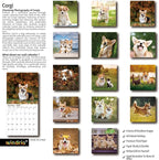 2026 Wall Calendar, November 2025 - December 2026, Wall Calendar Corgis, 12" x 24" Opened,Full Page Months Thick & Sturdy Paper for Calendar Organizing & Planning