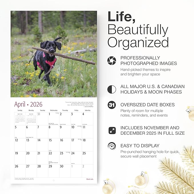 RED EMBER Black Labs 2026 Wall Calendar 12 Month | 12" x 24" Open | Thick & Sturdy Paper | Holiday Gift | Cute Labrador Retriever Puppy Dog Calendar 2026