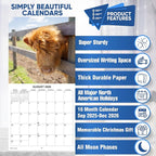 2026 Highland Cows Monthly Wall Calendar | Cute Animals Calendar 2025-2026