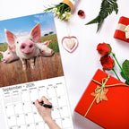 2026 Wall Calendar,Calendar 2026, November 2025 - December 2026, Wall Calendar Pigs & Piglets, 12" x 24" Opened,Full Page Months Thick & Sturdy Paper for Gift Perfect Calendar Organizing & Planning