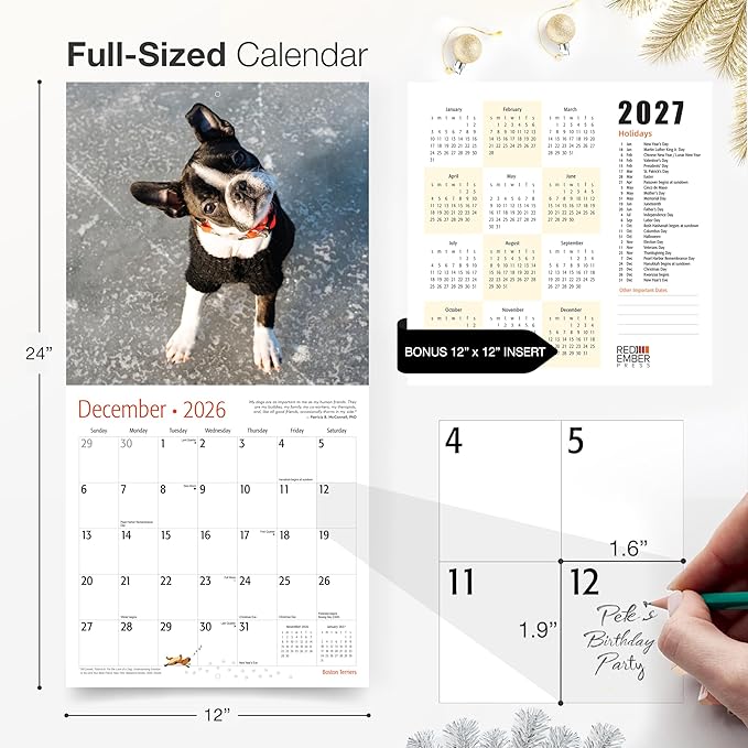 RED EMBER Boston Terriers 2026 Wall Calendar 12 Month | 12" x 24" Open | Thick & Sturdy Paper | Holiday Gift | Cute Puppy Dog Calendar 2026
