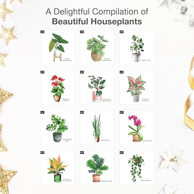 RED EMBER Houseplants 2026 Wall Calendar 12 Month | 12" x 24" Open | Thick & Sturdy Paper | Holiday Gift | Art Nature Calendar 2026