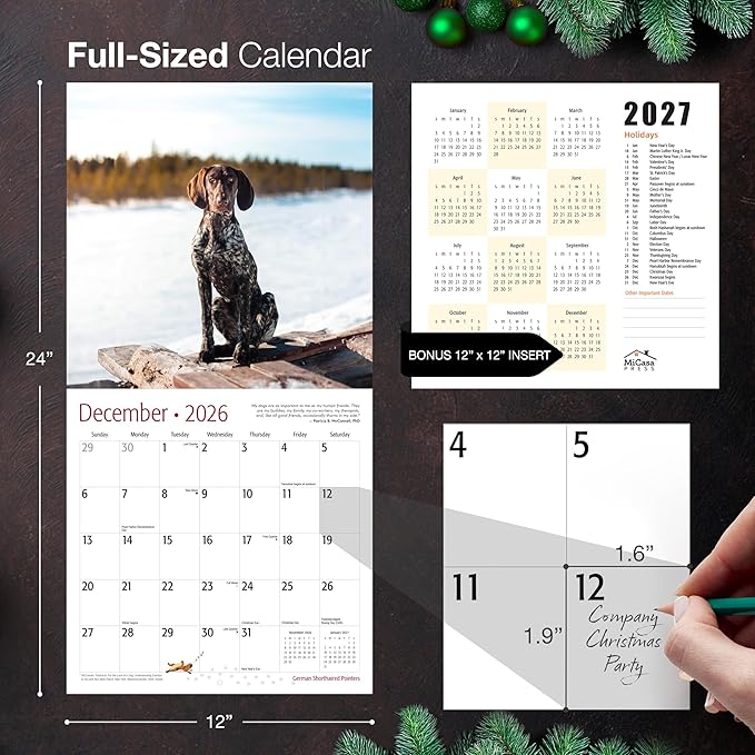 MICASA PRESS German Shorthaired Pointers 2026 Wall Calendar 12 Month | 12" x 24" Open | Thick & Sturdy Paper | Holiday Gift | Cute GSP Puppy Dog Calendar 2026