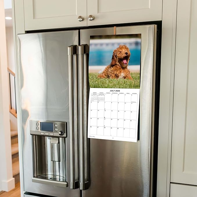 2026 Goldendoodles Monthly Wall Calendar | Cute Dog Calendar September 2025 - December 2026