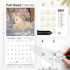 RED EMBER American Eskimo Dogs 2026 Wall Calendar 12 Month | 12" x 24" Open | Thick & Sturdy Paper | Holiday Gift | Cute Puppy Dog Calendar 2026