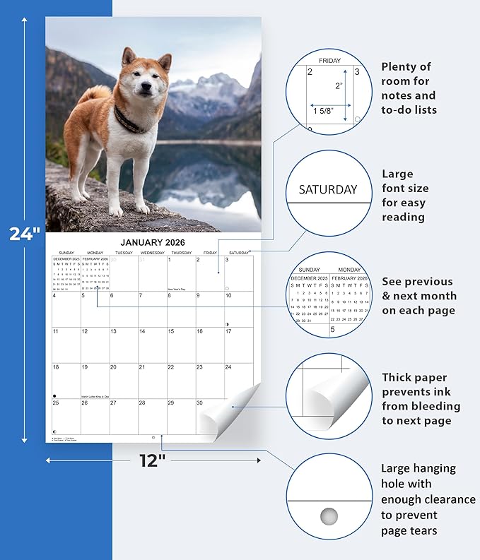 2026 Shiba Inus Monthly Wall Calendar | Cute Dogs 2026 Wall Calendar 2025-2026