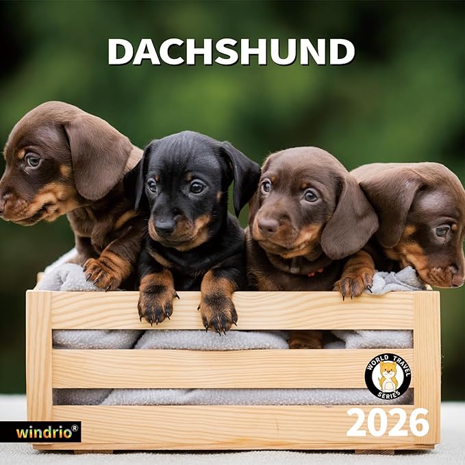2026 Wall Calendar,Calendar 2026, November 2025 - December 2026, Wall Calendar Dachshund, 12" x 24" Opened,Full Page Months Thick & Sturdy Paper for Gift Perfect Calendar Organizing & Planning