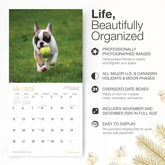 RED EMBER French Bulldog Puppies 2026 Wall Calendar 12 Month | 12" x 24" Open | Thick & Sturdy Paper | Holiday Gift | Cute Frenchie Puppy Dog Calendar 2026