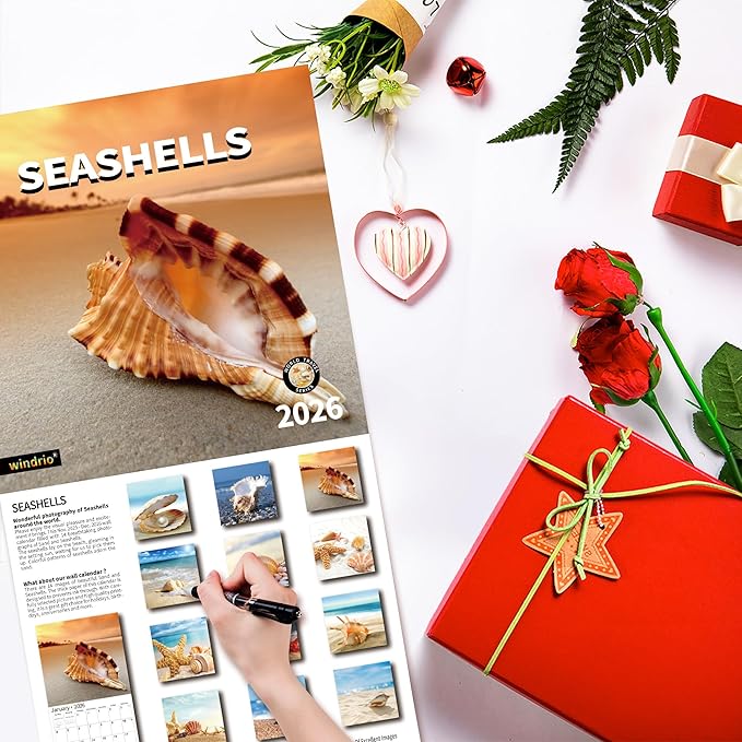 2026 Wall Calendar,Calendar 2026, November 2025 - December 2026, Wall Calendar Seashells, 12" x 24" Opened,Full Page Months Thick & Sturdy Paper for Calendar Organizing & Planning