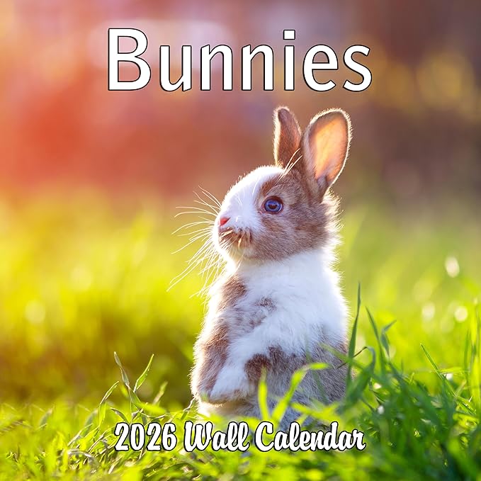 2026 Bunnies Monthly Wall Calendar | Cute Rabbit Animals Calendar 2025-2026