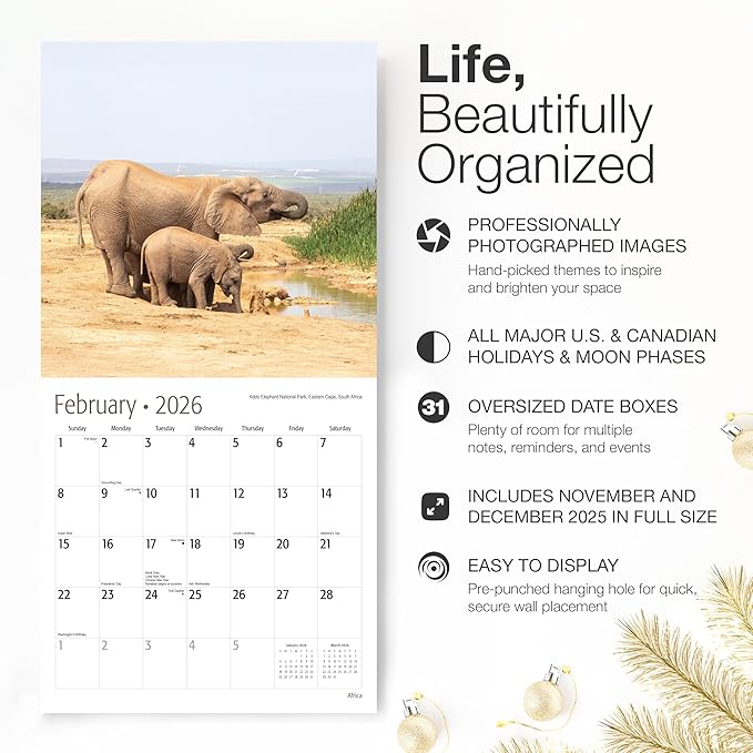 RED EMBER Africa 2026 Wall Calendar 12 Month | 12" x 24" Open | Thick & Sturdy Paper | Holiday Gift | Travel Calendar 2026