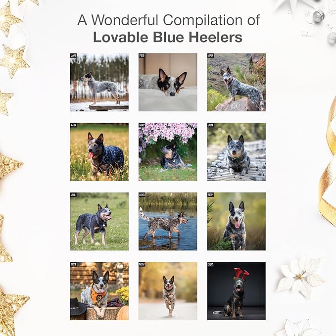 RED EMBER Blue Heelers 2026 Wall Calendar 12 Month | 12" x 24" Open | Thick & Sturdy Paper | Holiday Gift | Cute Puppy Dog Calendar 2026
