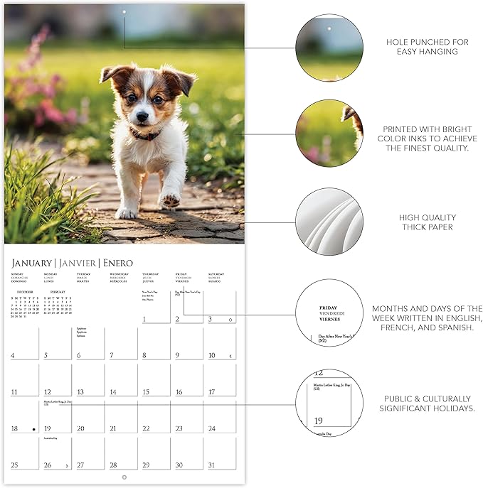 Graphique 2026 Puppy Love Wall Calendar | 12” x 12” | Thick Paper | Home & Office Organizer | Large Monthly Grid | 3 Languages & Marked Holidays | 4 Month Preview Page for 2027