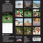 MICASA PRESS - Beagles 2025 Wall Calendar 12 Month | 12" x 24" Open | Thick & Sturdy Paper | Giftable | Dog Calendar 2025