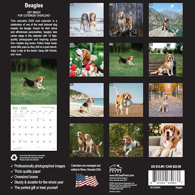 MICASA PRESS - Beagles 2025 Wall Calendar 12 Month | 12" x 24" Open | Thick & Sturdy Paper | Giftable | Dog Calendar 2025