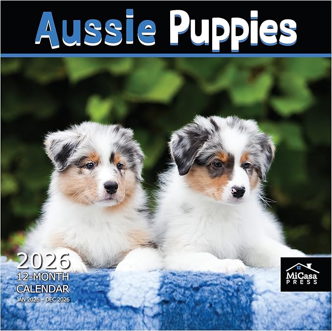 MICASA PRESS Aussie Puppies Australian Shepherds 2026 Wall Calendar 12 Month | 12" x 24" Open | Thick & Sturdy Paper | Holiday Gift | Cute Puppy Dog Calendar 2026