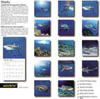 2026 Wall Calendar,Calendar 2026, November 2025 - December 2026, Wall Calendar Shark, 12" x 24" Opened,Full Page Months Thick & Sturdy Paper for Gift Perfect Calendar Organizing & Planning
