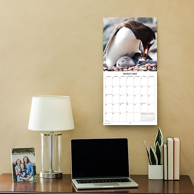 2026 Penguins Monthly Wall Calendar | Cute Animals Calendar 2025-2026