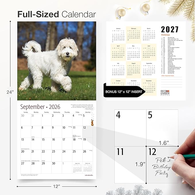 RED EMBER Labradoodles 2026 Wall Calendar 12 Month | 12" x 24" Open | Thick & Sturdy Paper | Holiday Gift | Cute Labrador Retriever Poodle Puppy Dog Calendar 2026