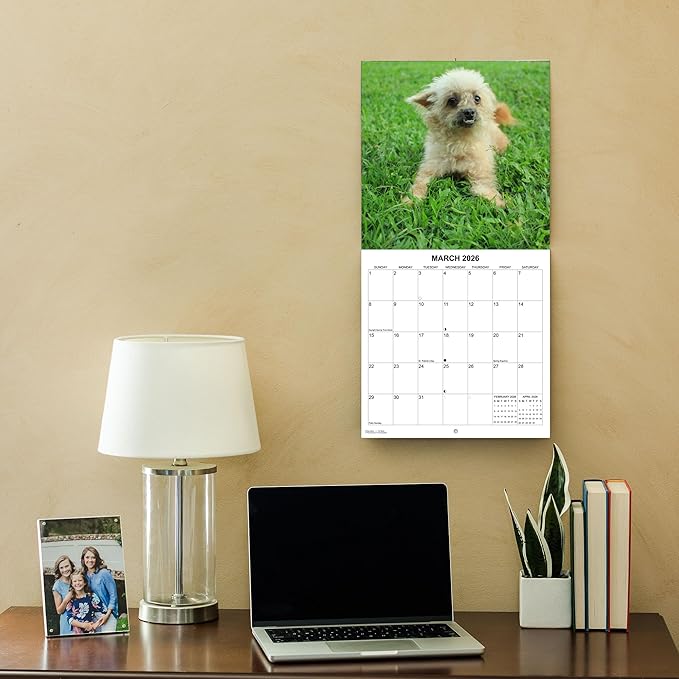 2026 Ugly Dogs Monthly Wall Calendar | Funny White Elephant Gift Gag Gift Calendar September 2025 - December 2026