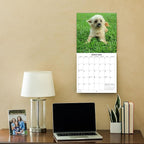 2026 Ugly Dogs Monthly Wall Calendar | Funny White Elephant Gift Gag Gift Calendar September 2025 - December 2026