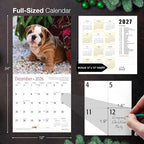 MICASA PRESS Bulldog Puppies 2026 Wall Calendar 12 Month | 12" x 24" Open | Thick & Sturdy Paper | Holiday Gift | Cute Puppy Dog Calendar 2026