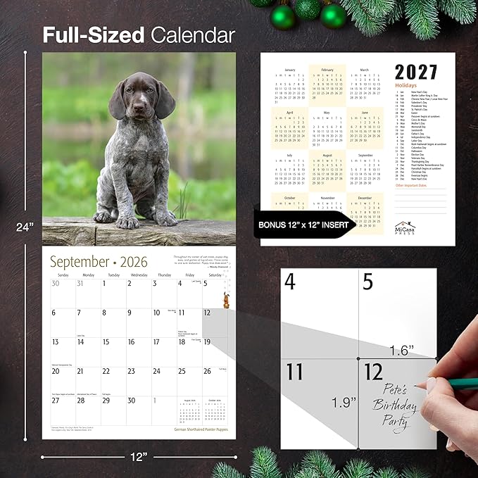 MICASA PRESS German Shorthaired Pointer Puppies 2026 Wall Calendar 12 Month | 12" x 24" Open | Thick & Sturdy Paper | Holiday Gift | Cute GSP Puppy Dog Calendar 2026