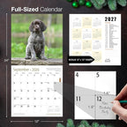 MICASA PRESS German Shorthaired Pointer Puppies 2026 Wall Calendar 12 Month | 12" x 24" Open | Thick & Sturdy Paper | Holiday Gift | Cute GSP Puppy Dog Calendar 2026
