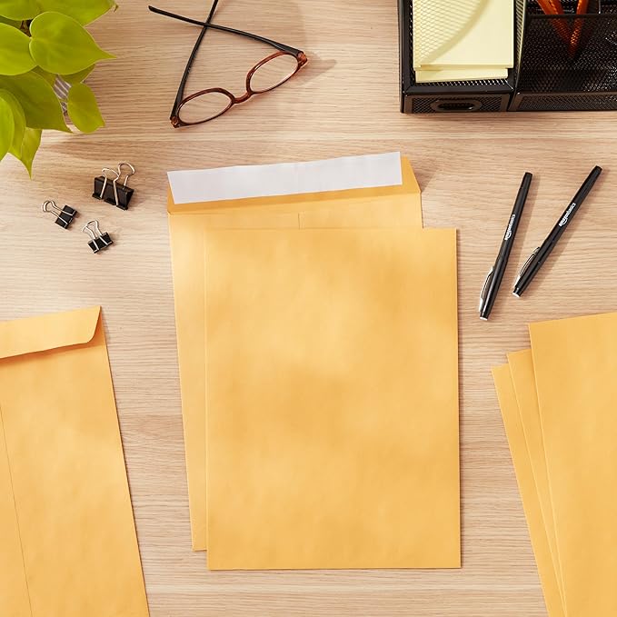 Amazon Basics Catalog Mailing Envelopes, Peel and Seal, 9x12 Inch, Brown Kraft, 250-Pack