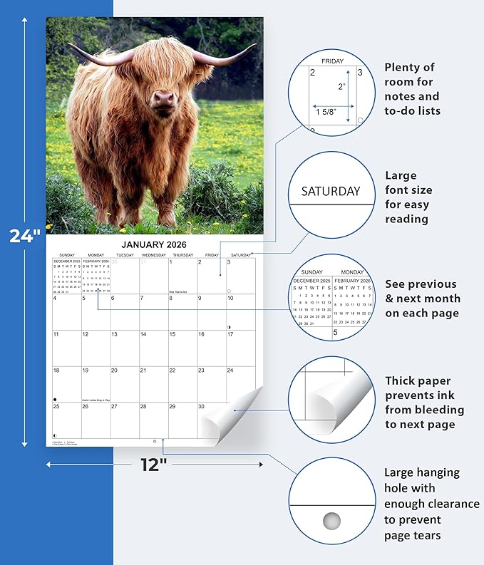 2026 Highland Cows Monthly Wall Calendar | Cute Animals Calendar 2025-2026
