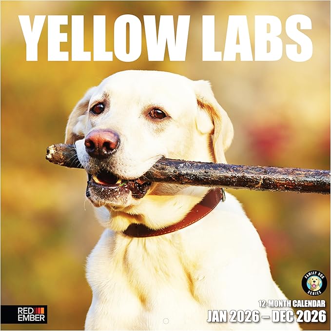 RED EMBER Yellow Labs 2026 Wall Calendar 12 Month | 12" x 24" Open | Thick & Sturdy Paper | Holiday Gift | Cute Labrador Retriever Puppy Dog Calendar 2026