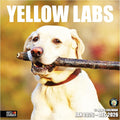 RED EMBER Yellow Labs 2026 Wall Calendar 12 Month | 12" x 24" Open | Thick & Sturdy Paper | Holiday Gift | Cute Labrador Retriever Puppy Dog Calendar 2026