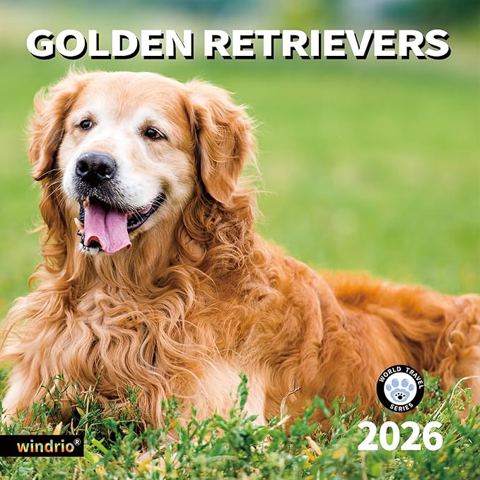2026 Wall Calendar,Calendar 2026, November 2025 - December 2026, Wall Calendar Golden Retrievers, 12" x 24" Opened,Full Page Months Thick & Sturdy Paper for Calendar Organizing & Planning