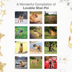 RED EMBER Shar-Pei 2026 Wall Calendar 12 Month | 12" x 24" Open | Thick & Sturdy Paper | Holiday Gift | Cute Puppy Dog Calendar 2026
