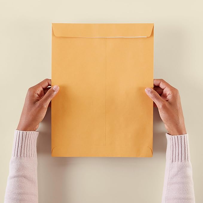 Amazon Basics Catalog Mailing Envelopes, Peel and Seal, 10x13 Inch, Brown Kraft, 250-Pack