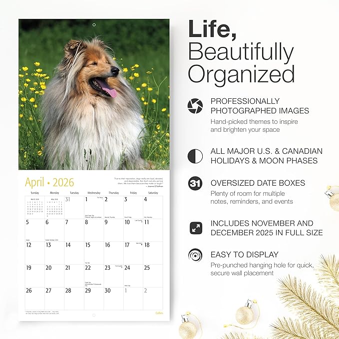 RED EMBER Collies 2026 Wall Calendar 12 Month | 12" x 24" Open | Thick & Sturdy Paper | Holiday Gift | Cute Puppy Dog Calendar 2026
