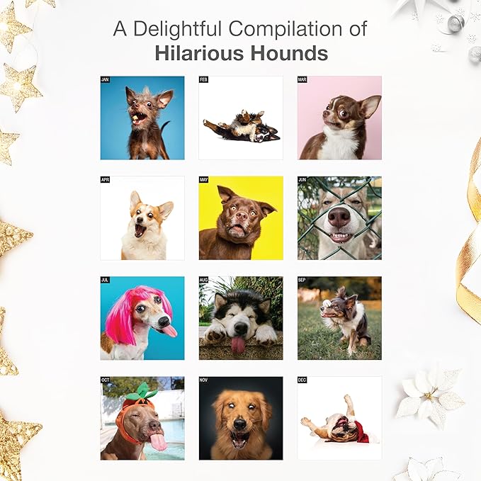RED EMBER Goofy Dogs 2026 Wall Calendar 12 Month | 12" x 24" Open | Thick & Sturdy Paper | Holiday Gift | Kids Pooches Funny Puppy Dog Calendar 2026