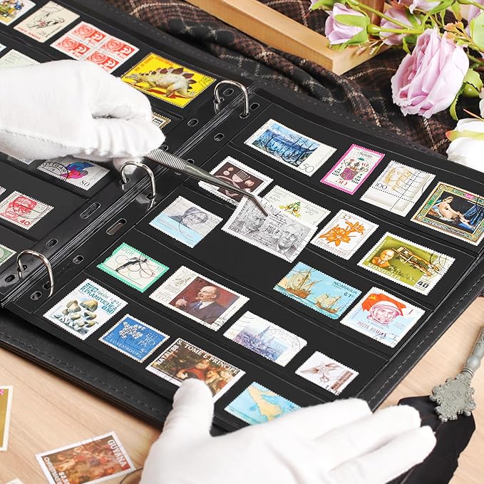 10 Sheets 20 Pages Postage Stamp Album Pages, 5 Pockets 7.7X 1.97in Stamp Collection Inserts, 9 Hole Standard Stamp Collecting Album Sleeves for Stamp Collection Binder IS010510