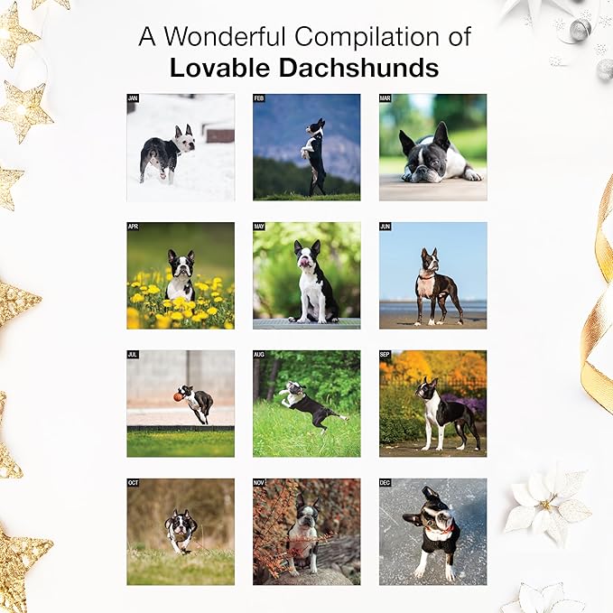 RED EMBER Boston Terriers 2026 Mini Wall Calendar 12 Month | 7" x 14" Open | Thick & Sturdy Paper | Holiday Gift | Cute Puppy Dog Calendar 2026