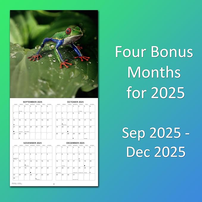2026 Frogs Monthly Wall Calendar | Animals Calendar 2025-2026
