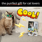 Kathy & Jiggs: Sassy Cat A5 Lined Journal 160 Pages, 5.8 X 8.4 Hardcover Notebook, College Ruled: Cute Aesthetic Gifts for Cat Dads, Mom, Kids, Animal Lovers, Men, Women, Note Book, Diary, Journaling
