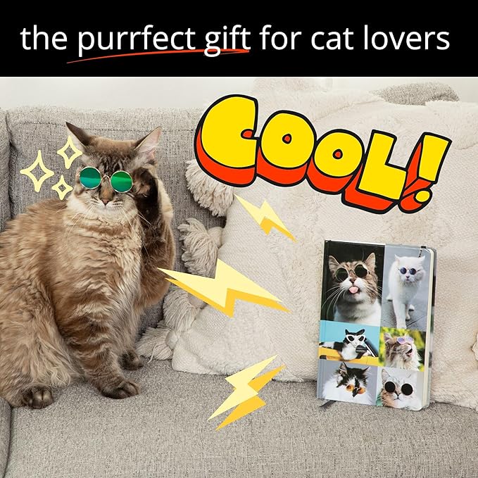 Kathy & Jiggs: Sassy Cat A5 Lined Journal 160 Pages, 5.8 X 8.4 Hardcover Notebook, College Ruled: Cute Aesthetic Gifts for Cat Dads, Mom, Kids, Animal Lovers, Men, Women, Note Book, Diary, Journaling