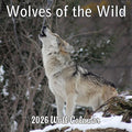 2026 Wolves of the Wild Monthly Wall Calendar | Wild Animals Calendar 2025-2026