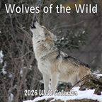 2026 Wolves of the Wild Monthly Wall Calendar | Wild Animals Calendar 2025-2026
