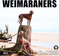 RED EMBER Weimaraners 2026 Wall Calendar 12 Month | 12" x 24" Open | Thick & Sturdy Paper | Holiday Gift | Cute Puppy Dog Calendar 2026