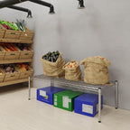 Regal Altair 21''W x 48''L x 14''H Chrome Plated Wire Dunnage Rack | Off The Floor Storage