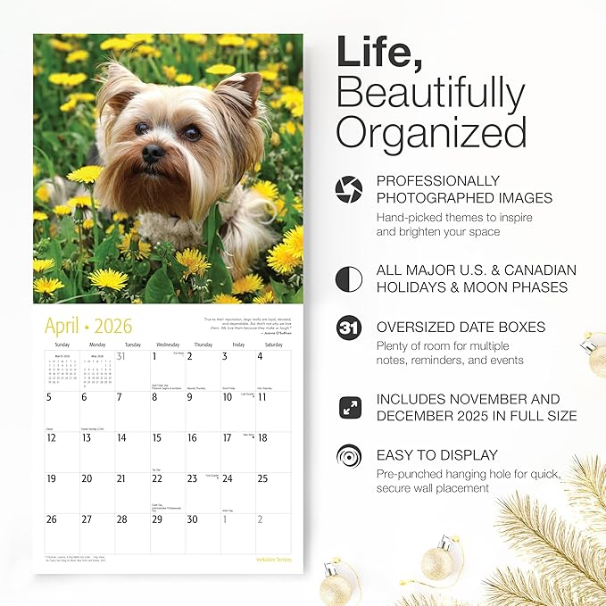 RED EMBER Yorkies Yorkshire Terriers 2026 Wall Calendar 12 Month | 12" x 24" Open | Thick & Sturdy Paper | Holiday Gift | Cute Puppy Dog Calendar 2026